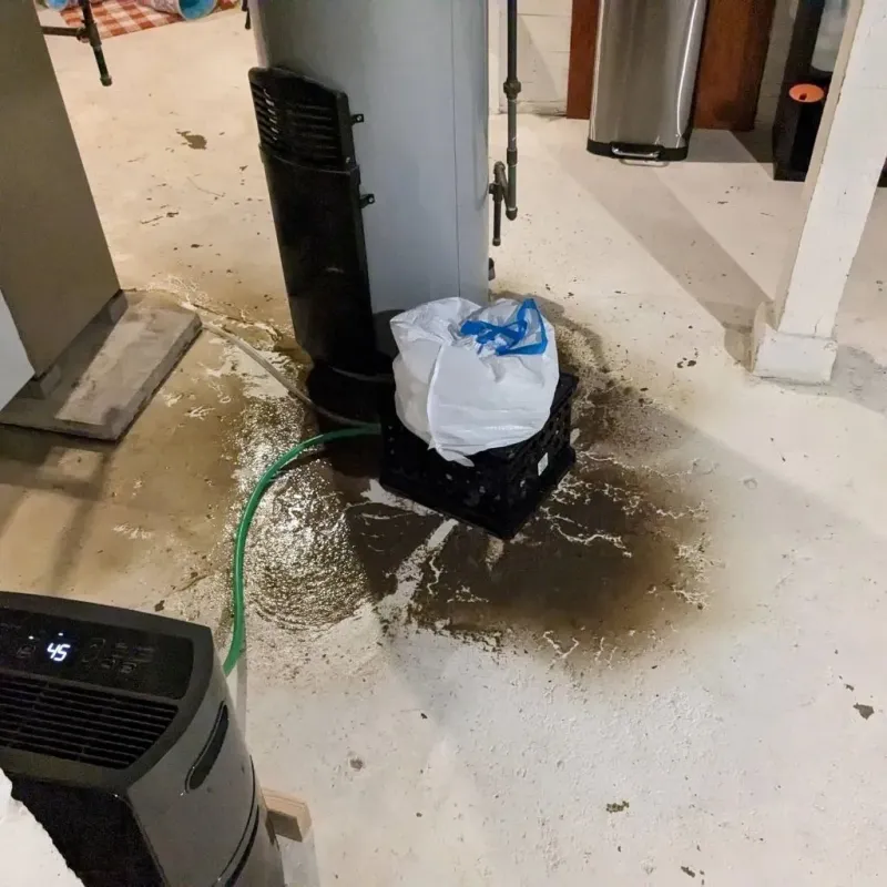 Sewage Backup Cleanup Service in Elysburg, PA